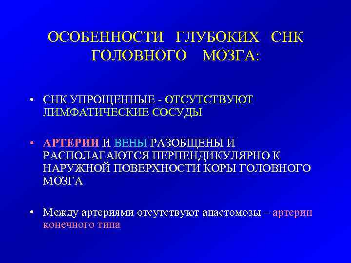 ОСОБЕННОСТИ ГЛУБОКИХ СНК ГОЛОВНОГО МОЗГА: • СНК УПРОЩЕННЫЕ - ОТСУТСТВУЮТ ЛИМФАТИЧЕСКИЕ СОСУДЫ • АРТЕРИИ