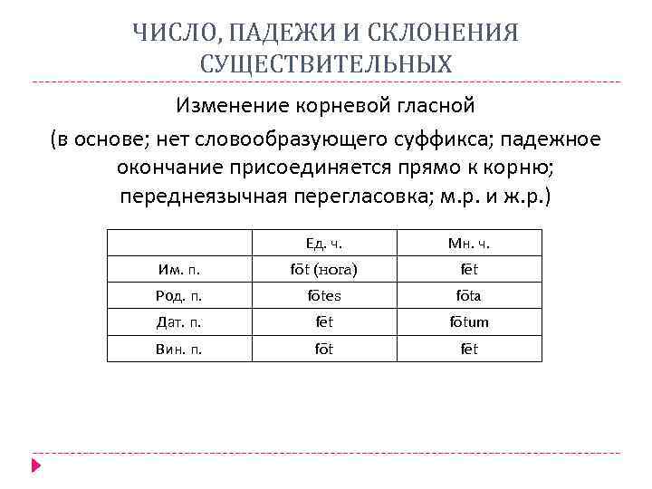 ЧИСЛО, ПАДЕЖИ И СКЛОНЕНИЯ СУЩЕСТВИТЕЛЬНЫХ Изменение корневой гласной (в основе; нет словообразующего суффикса; падежное