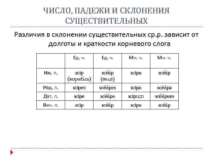 Склонение существительных по падежам во множественном числе. Тип склонения существительных. Склонения существительных таблица. Падежи существительных. Падежи в древнеанглийском.