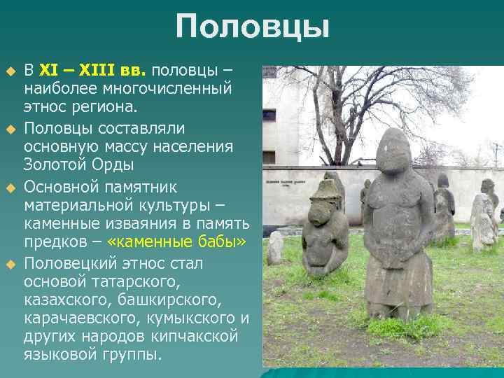 Половцы u u В XI – XIII вв. половцы – наиболее многочисленный этнос региона.
