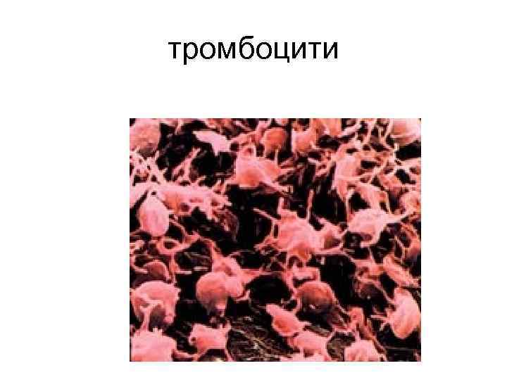 тромбоцити 