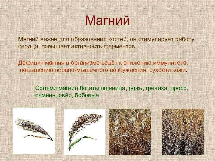 Магний важен для образования костей, он стимулирует работу сердца, повышает активность ферментов. Дефицит магния