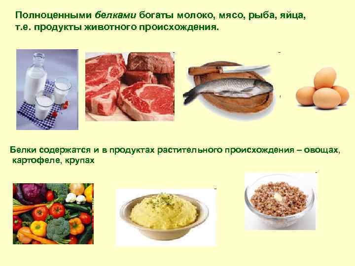 Полноценными белками богаты молоко, мясо, рыба, яйца, т. е. продукты животного происхождения. Белки содержатся
