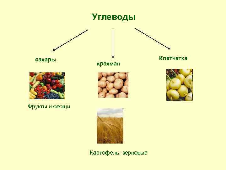Углеводы сахары крахмал Фрукты и овощи Картофель, зерновые Клетчатка 