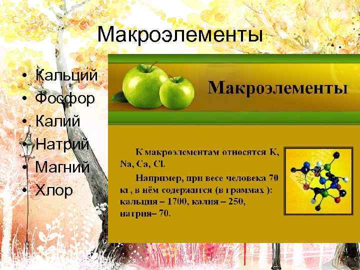Макроэлементы • • • Кальций Фосфор Калий Натрий Магний Хлор 