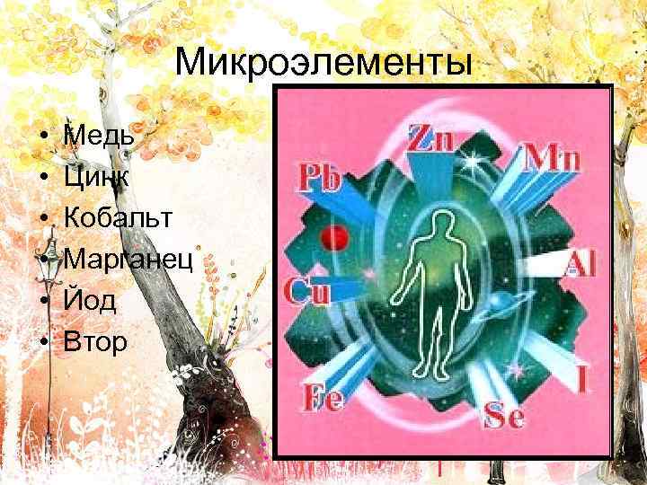 Микроэлементы • • • Медь Цинк Кобальт Марганец Йод Втор 