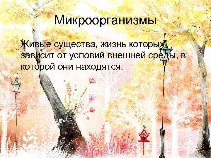 Микроорганизмы Живые существа, жизнь которых зависит от условий внешней среды, в которой они находятся.