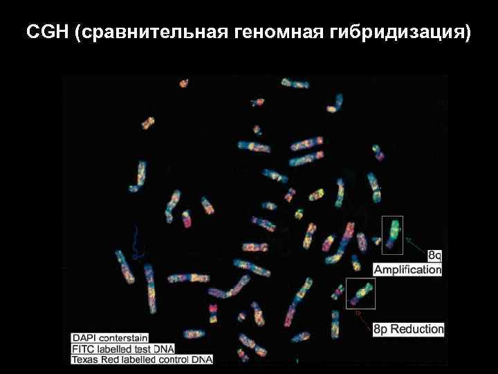 Геномная селекция презентация