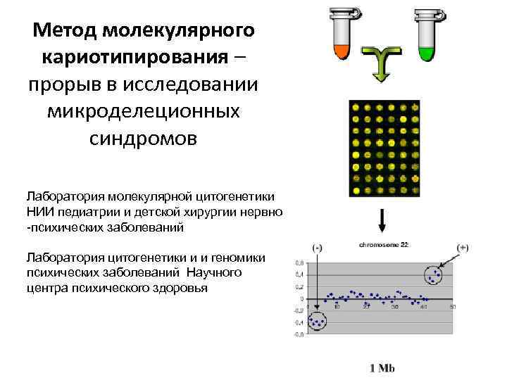 Метод молекулярного кариотипирования – прорыв в исследовании микроделеционных синдромов Лаборатория молекулярной цитогенетики НИИ педиатрии