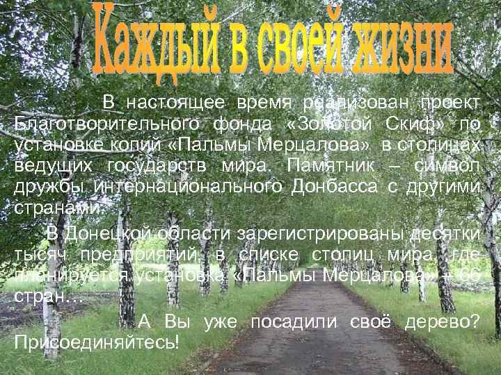  В настоящее время реализован проект Благотворительного фонда «Золотой Скиф» по установке копий «Пальмы