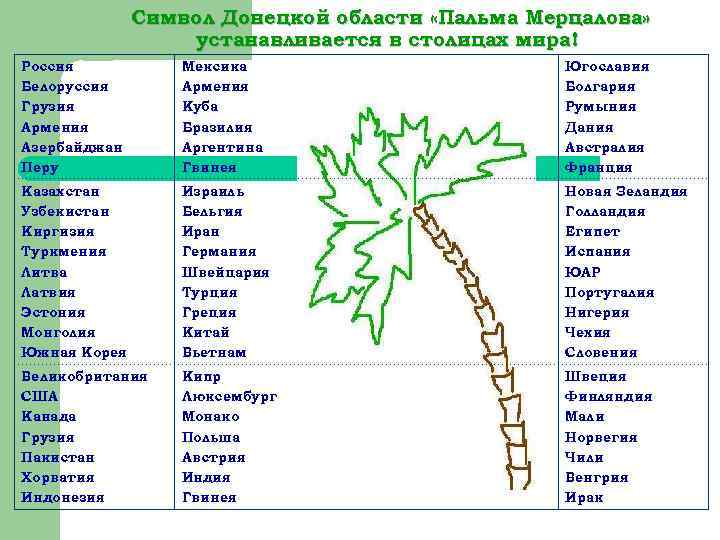 Символ Донецкой области «Пальма Мерцалова» устанавливается в столицах мира! Россия Белоруссия Грузия Армения Азербайджан