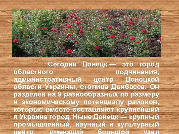  Сегодня Донецк — это город областного подчинения, административный центр Донецкой области Украины, столица