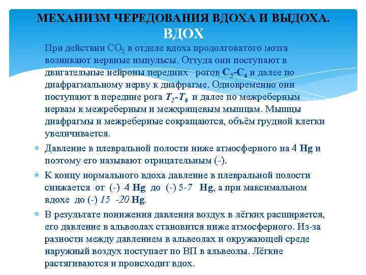 МЕХАНИЗМ ЧЕРЕДОВАНИЯ ВДОХА И ВЫДОХА. ВДОХ При действии СО 2 в отделе вдоха продолговатого