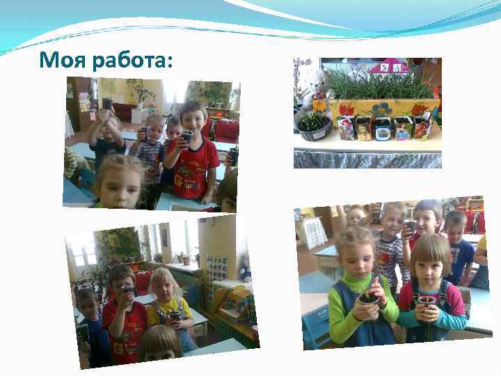 Моя работа: 