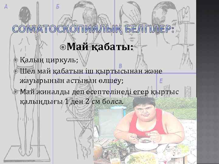  Май қабаты: Қалың циркуль; Шел май қабатын іш қыртысынан және жауырынын астынан өлшеу;