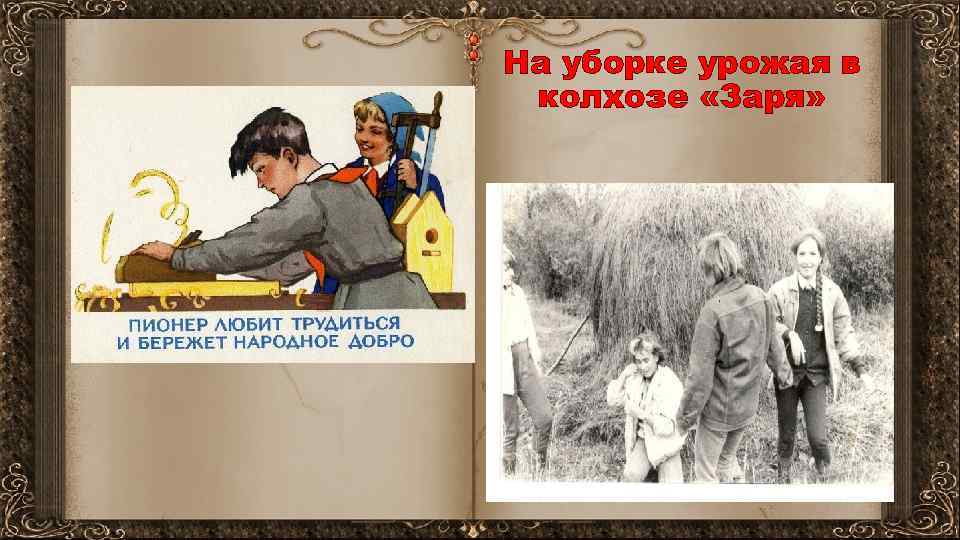 На уборке урожая в колхозе «Заря» 