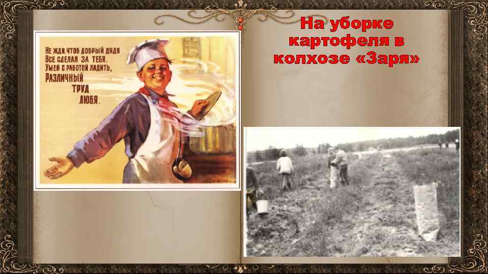 На уборке картофеля в колхозе «Заря» 