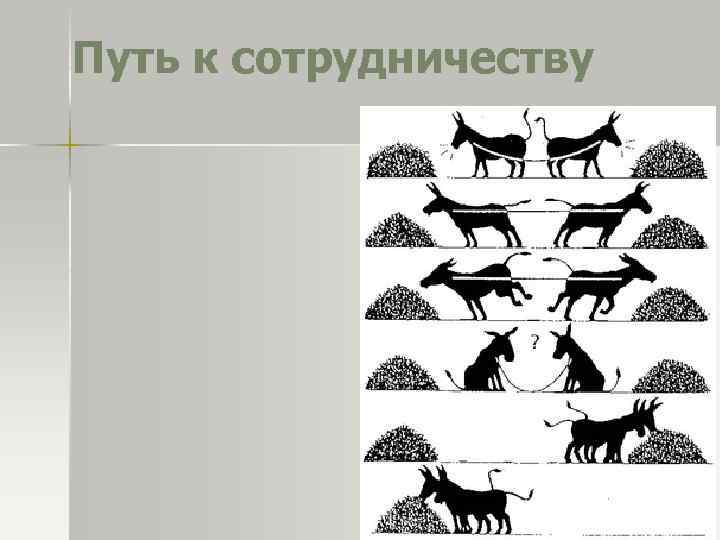 Путь к сотрудничеству 