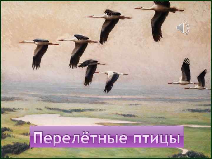 Перелётные птицы 