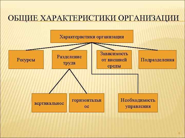 ОБЩИЕ ХАРАКТЕРИСТИКИ ОРГАНИЗАЦИИ Характеристики организации Ресурсы Разделение труда вертикальное Зависимость от внешней среды горизонтальн