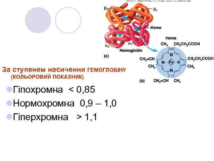 За ступенем насичення ГЕМОГЛОБІНУ (КОЛЬОРОВИЙ ПОКАЗНИК) l. Гіпохромна < 0, 85 l. Нормохромна 0,