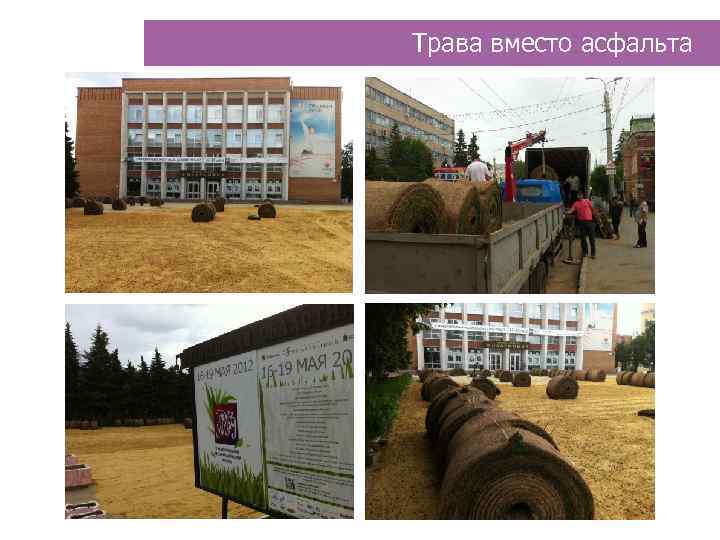 Трава вместо асфальта 