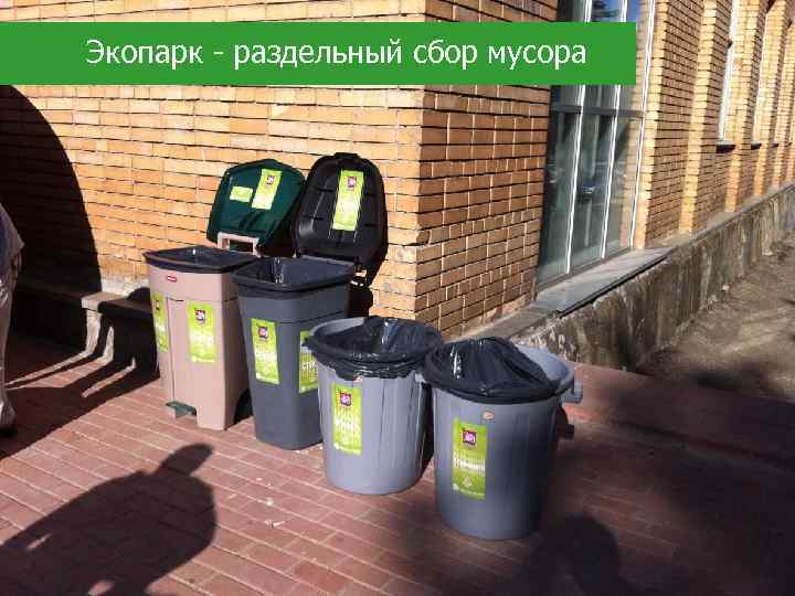Экопарк - раздельный сбор мусора 