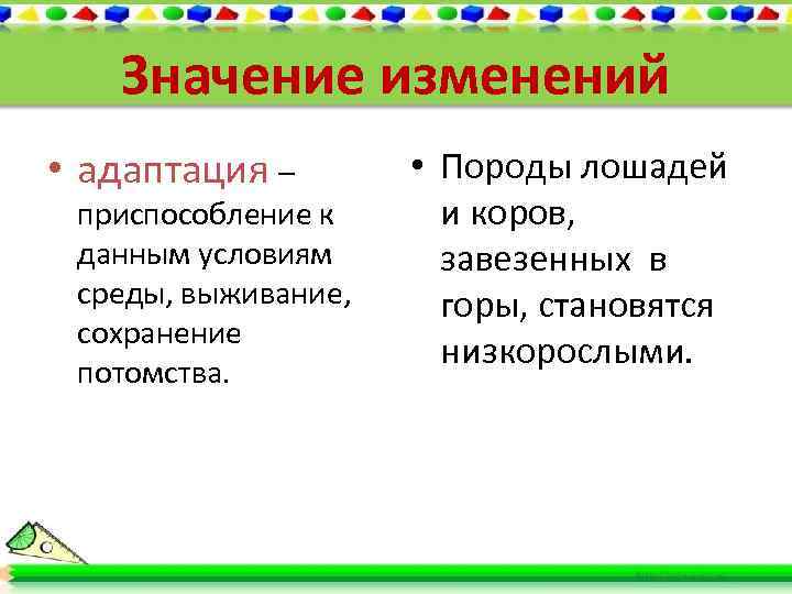 Значение изменений • адаптация – приспособление к данным условиям среды, выживание, сохранение потомства. •