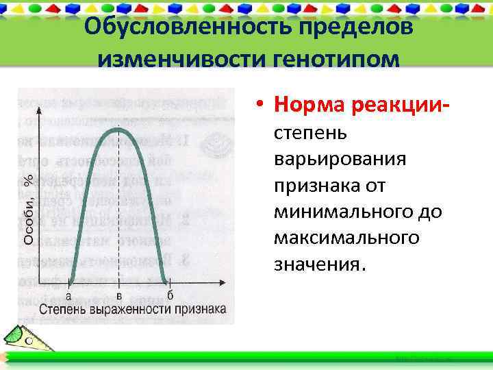 Обусловленность пределов изменчивости генотипом • Норма реакциистепень варьирования признака от минимального до максимального значения.