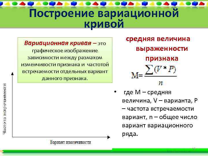 Построение вариационной кривой Вариационная кривая – это графическое изображение зависимости между размахом изменчивости признака