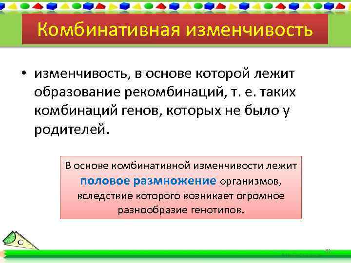 Комбинативная изменчивость • изменчивость, в основе которой лежит образование рекомбинаций, т. е. таких комбинаций