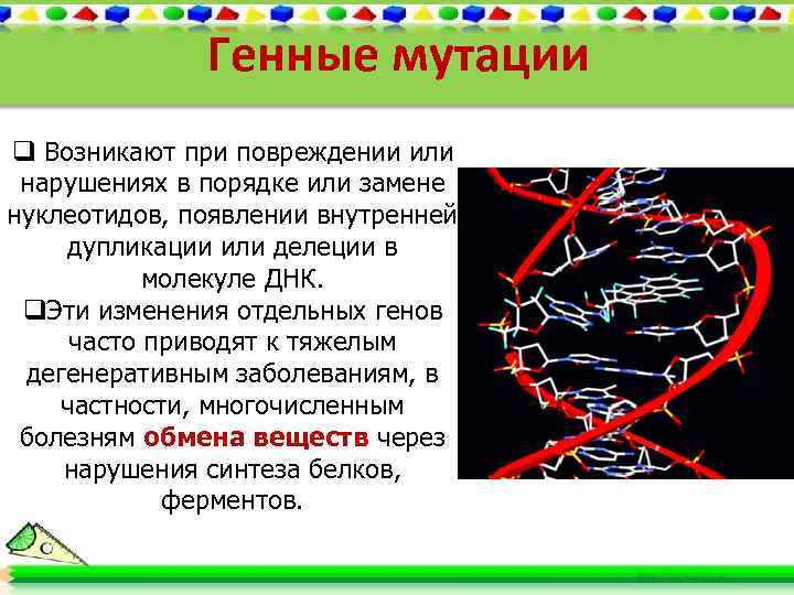 Генные мутации q Возникают при повреждении или нарушениях в порядке или замене нуклеотидов, появлении