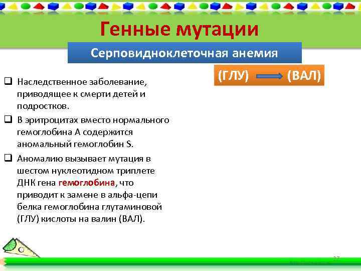 Генные мутации Серповидноклеточная анемия q Наследственное заболевание, приводящее к смерти детей и подростков. q