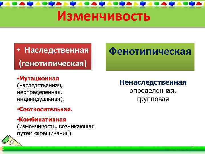 Изменчивость • Наследственная (генотипическая) • Мутационная (наследственная, неопределенная, индивидуальная). Фенотипическая Ненаследственная определенная, групповая •