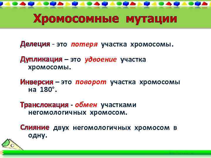 Хромосомные мутации Делеция - это потеря участка хромосомы. Дупликация – это удвоение участка хромосомы.