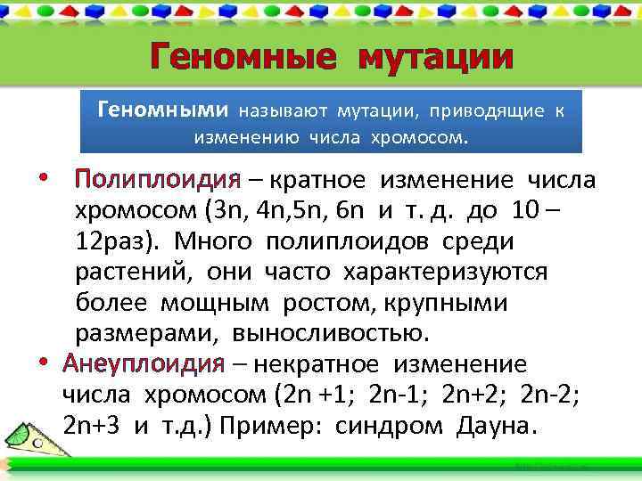Геномные мутации Геномными называют мутации, приводящие к изменению числа хромосом. • Полиплоидия – кратное