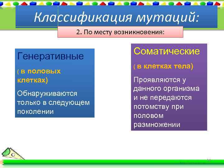 Классификация мутаций: 2. По месту возникновения: Генеративные (в половых клетках) Обнаруживаются только в следующем