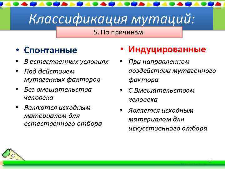 Классификация мутаций: 5. По причинам: • Спонтанные • Индуцированные • В естественных условиях •
