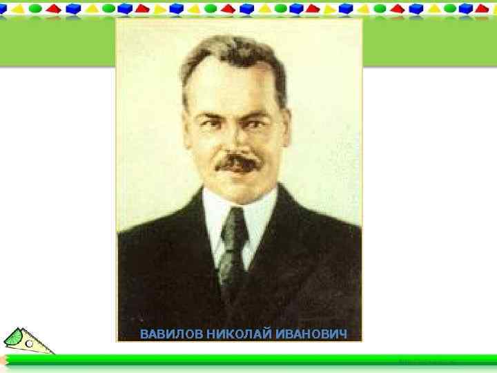 ВАВИЛОВ НИКОЛАЙ ИВАНОВИЧ 