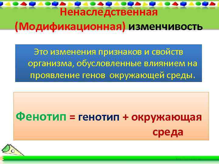 Ненаследственная (Модификационная) изменчивость Это изменения признаков и свойств организма, обусловленные влиянием на проявление генов