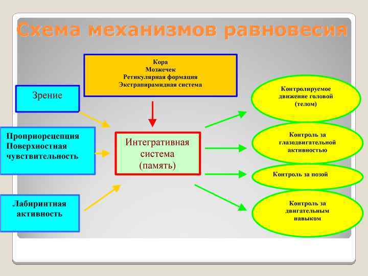 Схема механизмов равновесия 