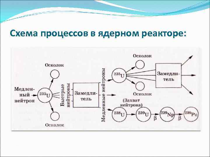 Схема процессов в ядерном реакторе: 