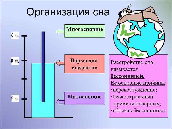 Организация сна 9 ч. Многоспящие 8 ч. Норма для студентов 6 ч. Малоспящие Расстройство