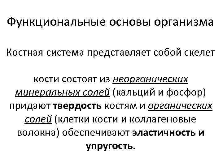 Функциональные основы организма Костная система представляет собой скелет кости состоят из неорганических минеральных солей