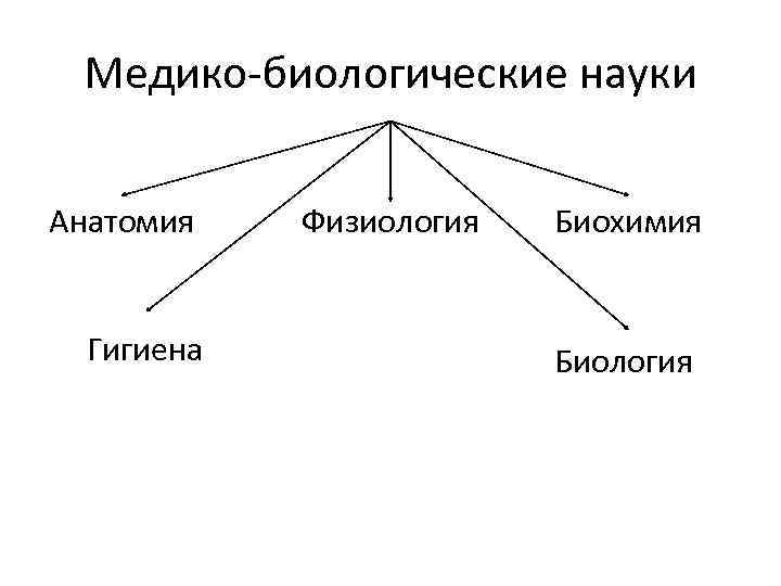 Медико-биологические науки Анатомия Гигиена Физиология Биохимия Биология 