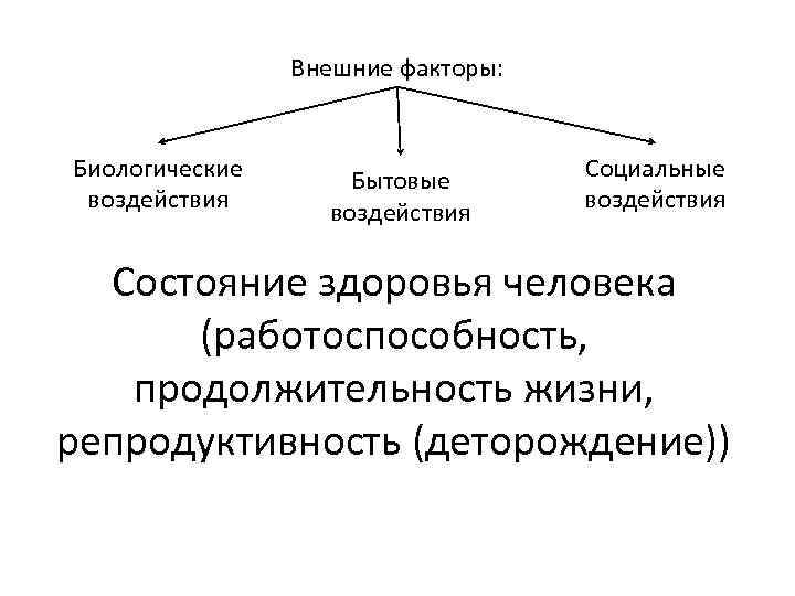 Внешние факторы: Биологические воздействия Бытовые воздействия Социальные воздействия Состояние здоровья человека (работоспособность, продолжительность жизни,