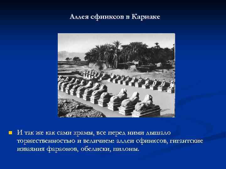 Аллея сфинксов в Карнаке И так же как сами храмы, все перед ними дышало