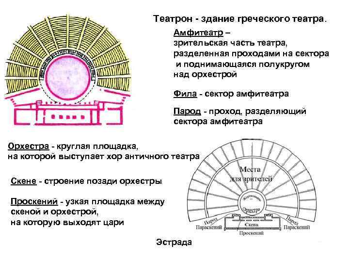 Театрон - здание греческого театра. Амфитеатр – зрительская часть театра, разделенная проходами на сектора