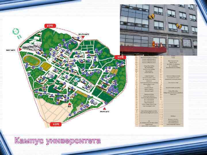 Кампус университета 