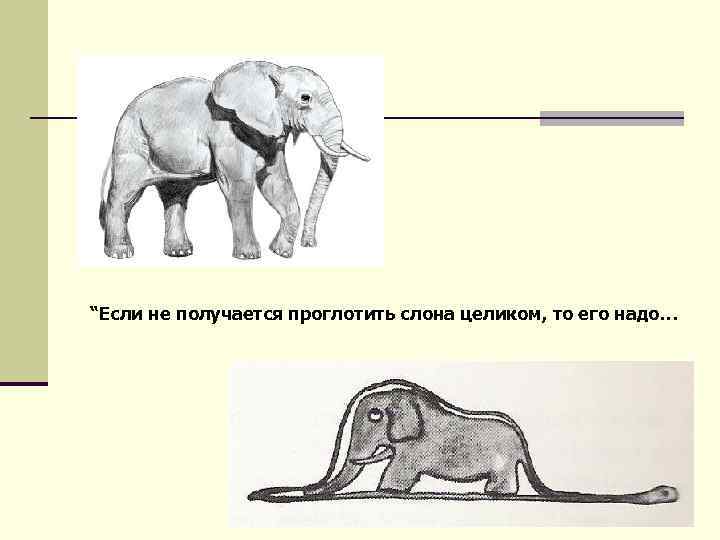 “Если не получается проглотить слона целиком, то его надо… 12 